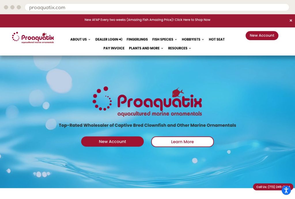 ProAquatix website by Ally Drez