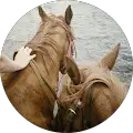 Tiffany Linford Avatar